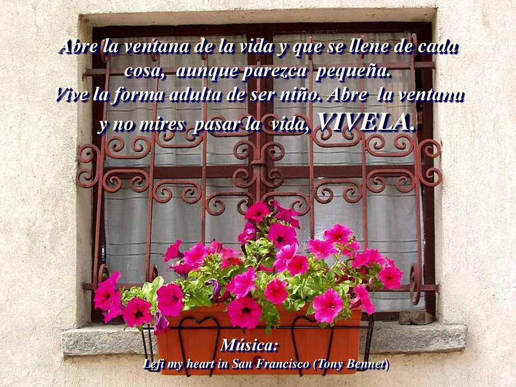 Abre la ventana de la vida y que se llene de cada cosa, aunque parezca pequeña. Vive la forma adulta de ser niño. Abre la ventana y no mires pasar la vida, VIVELA.