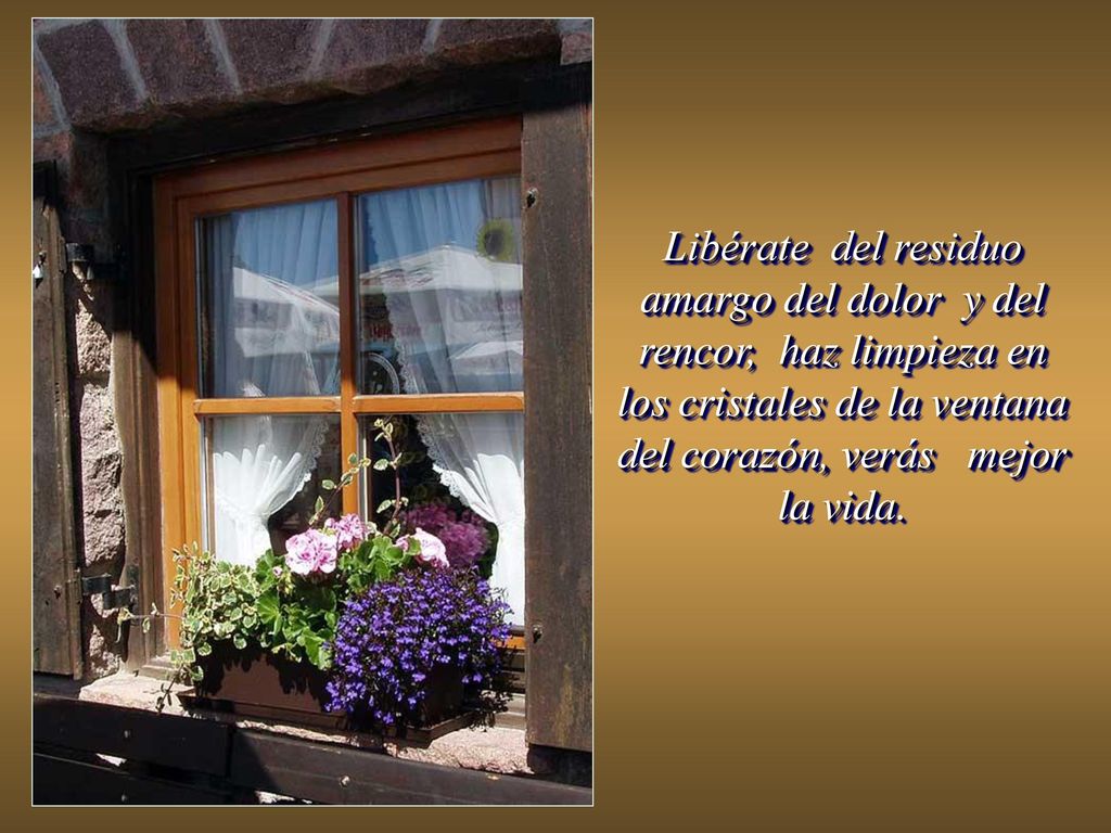 Libérate del residuo amargo del dolor y del rencor, haz limpieza en los cristales de la ventana del corazón, verás mejor la vida.