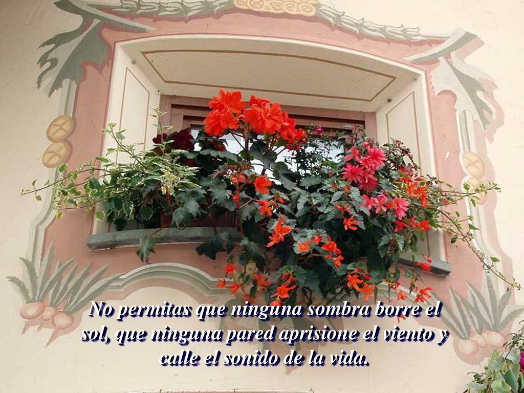 No permitas que ninguna sombra borre el sol, que ninguna pared aprisione el viento y calle el sonido de la vida.