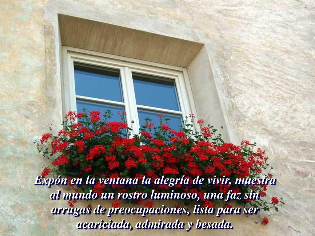 Expón en la ventana la alegría de vivir, muestra al mundo un rostro luminoso, una faz sin arrugas de preocupaciones, lista para ser acariciada, admirada y besada.