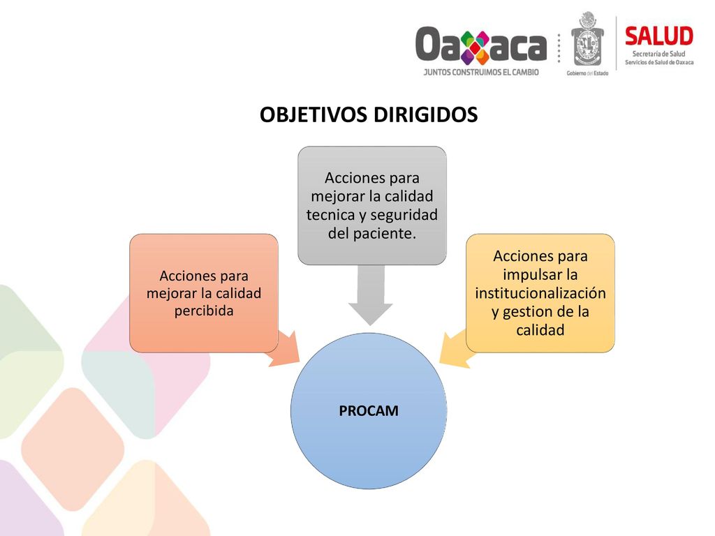 OBJETIVOS DIRIGIDOS PROCAM. Acciones para mejorar la calidad percibida. Acciones para mejorar la calidad tecnica y seguridad del paciente.