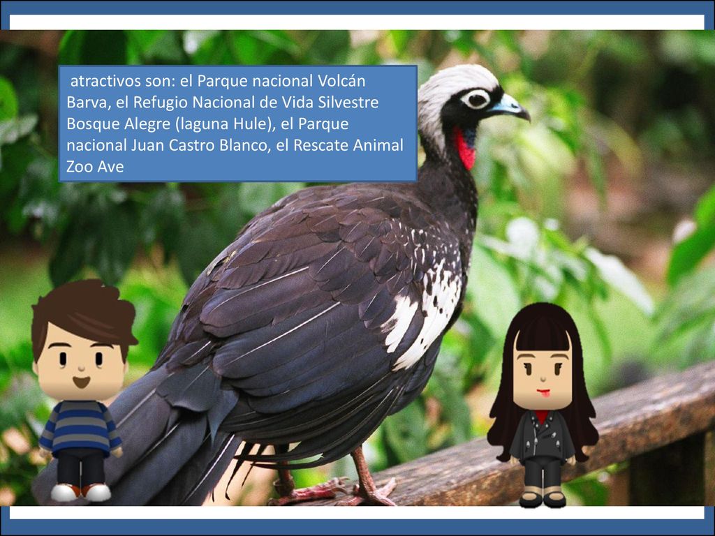 atractivos son: el Parque nacional Volcán Barva, el Refugio Nacional de Vida Silvestre Bosque Alegre (laguna Hule), el Parque nacional Juan Castro Blanco, el Rescate Animal Zoo Ave