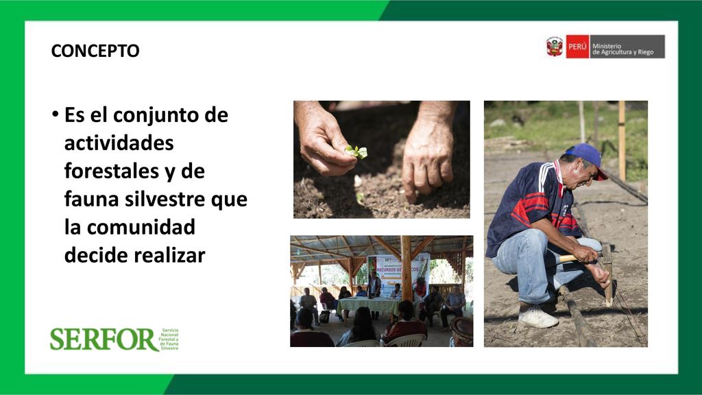 CONCEPTO Es el conjunto de actividades forestales y de fauna silvestre que la comunidad decide realizar.