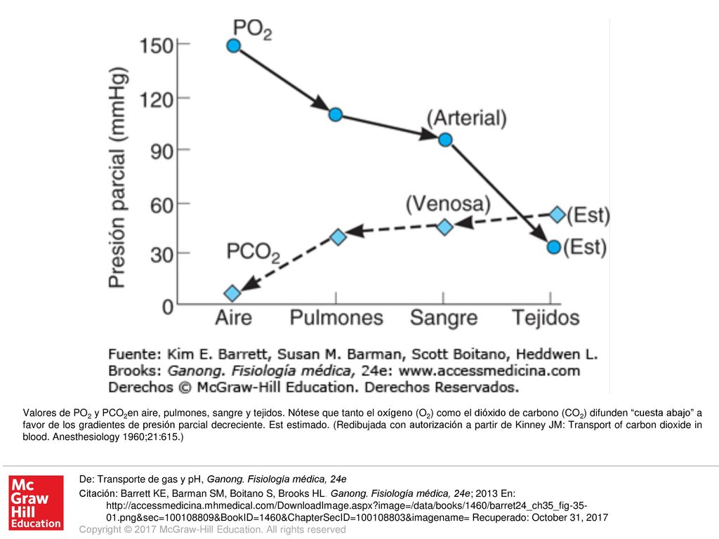 Valores de PO2 y PCO2en aire, pulmones, sangre y tejidos