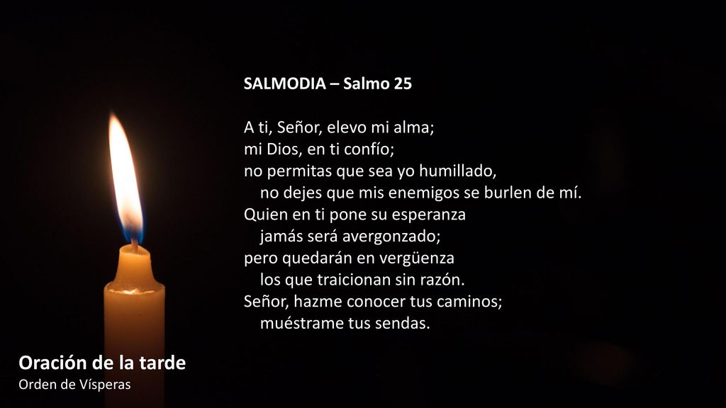 Oración de la tarde SALMODIA – Salmo 25 A ti, Señor, elevo mi alma;