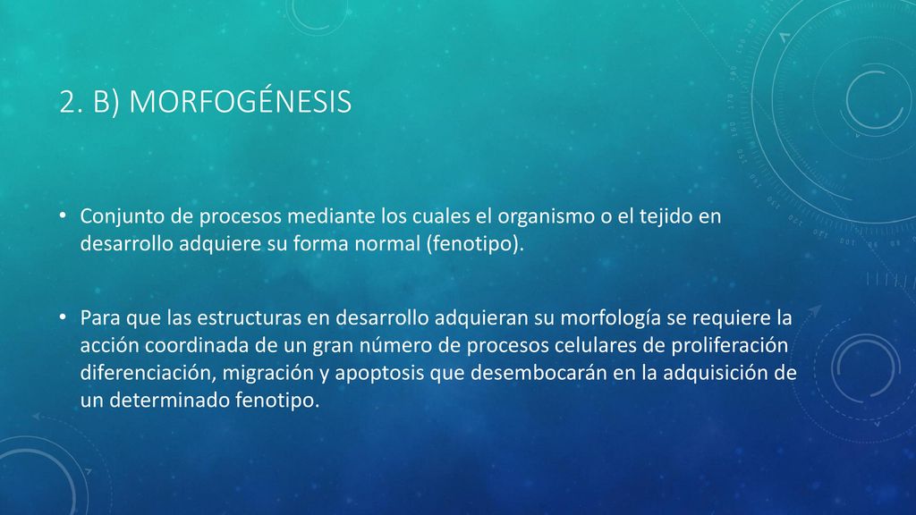 2. b) morfogénesis Conjunto de procesos mediante los cuales el organismo o el tejido en desarrollo adquiere su forma normal (fenotipo).