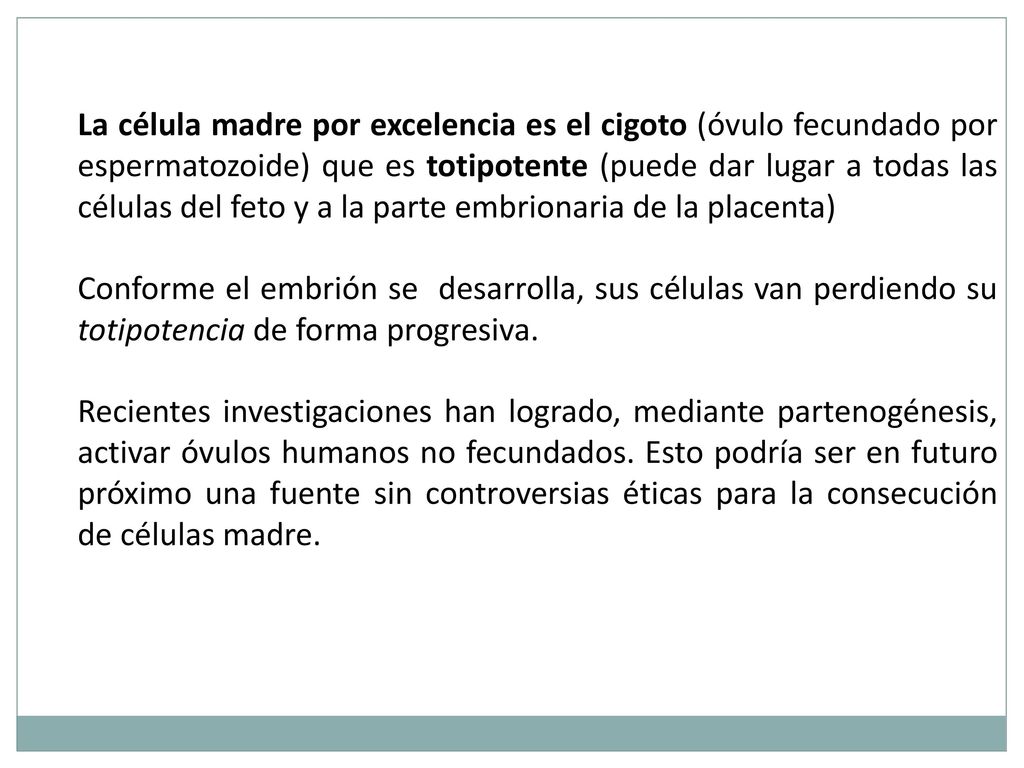 La célula madre por excelencia es el cigoto (óvulo fecundado por espermatozoide) que es totipotente (puede dar lugar a todas las células del feto y a la parte embrionaria de la placenta)
