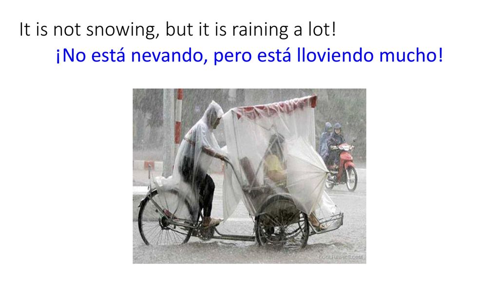 It is not snowing, but it is raining a lot!