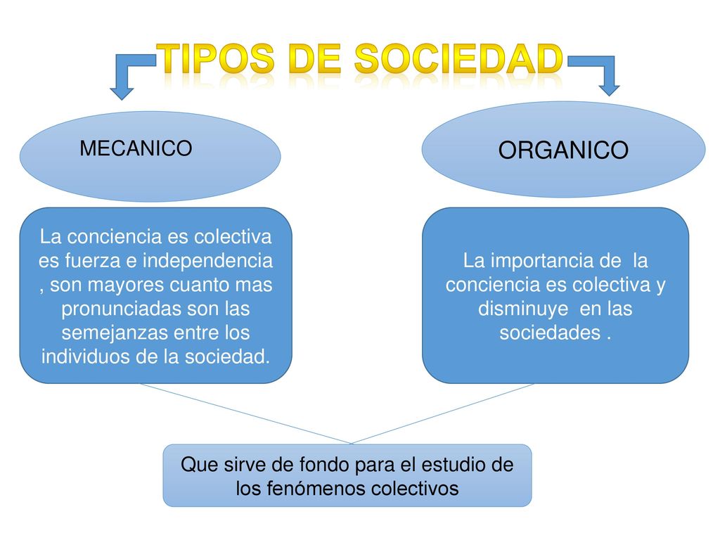 Que sirve de fondo para el estudio de los fenómenos colectivos