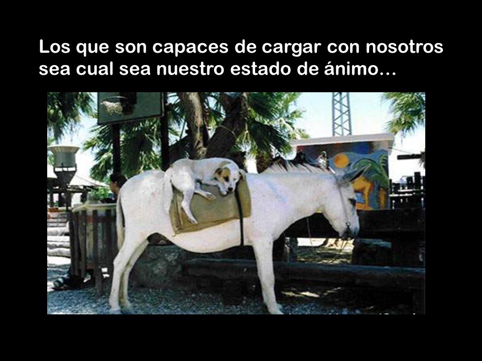 Los que son capaces de cargar con nosotros sea cual sea nuestro estado de ánimo…