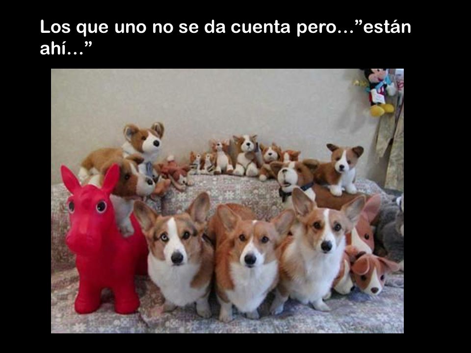 Los que uno no se da cuenta pero… están ahí…