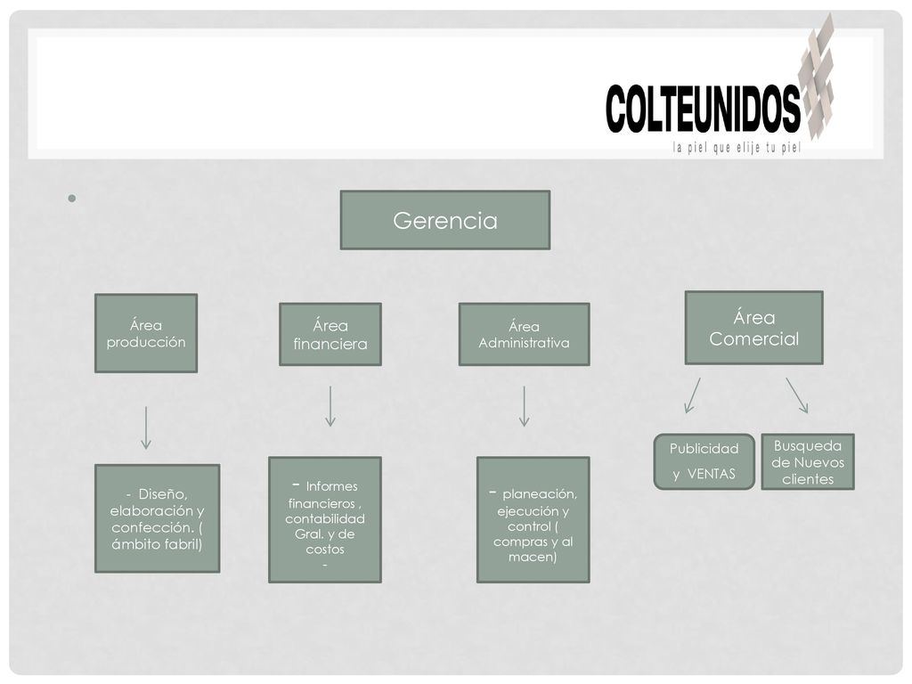 - Informes financieros , contabilidad Gral. y de costos -