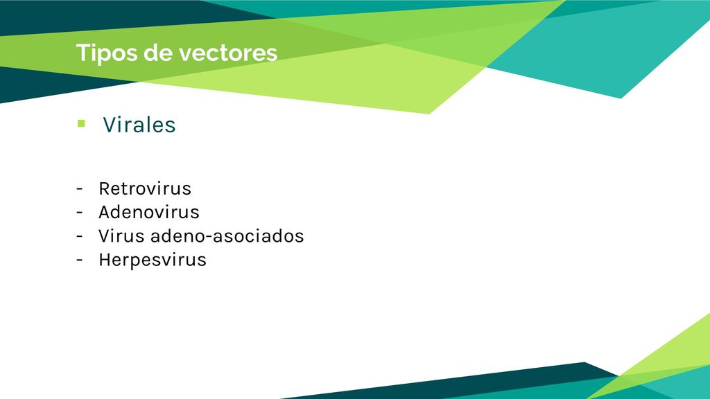 Tipos de vectores Virales Retrovirus Adenovirus Virus adeno-asociados
