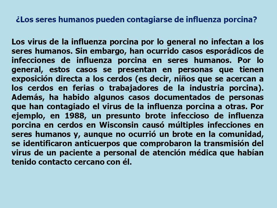 ¿Los seres humanos pueden contagiarse de influenza porcina