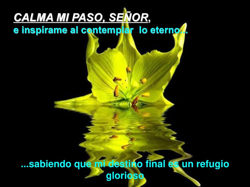 ...sabiendo que mi destino final es un refugio glorioso