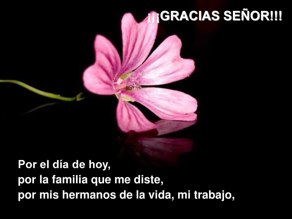 ¡¡¡GRACIAS SEÑOR!!! Por el día de hoy, por la familia que me diste,