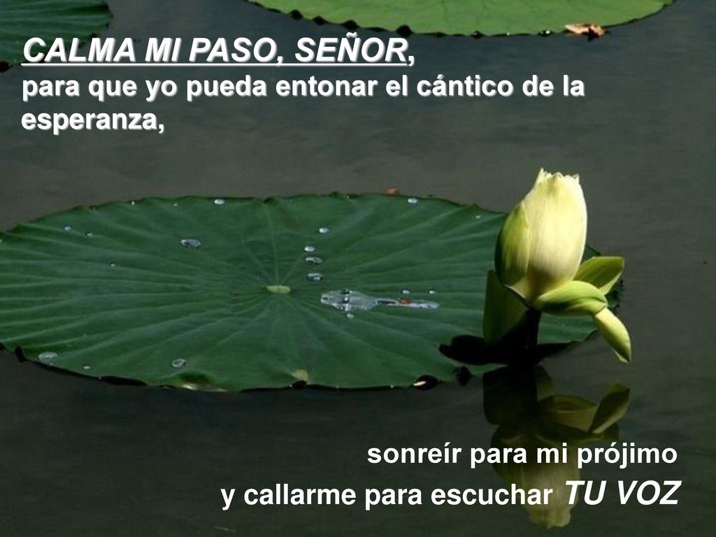 CALMA MI PASO, SEÑOR, para que yo pueda entonar el cántico de la esperanza, sonreír para mi prójimo.