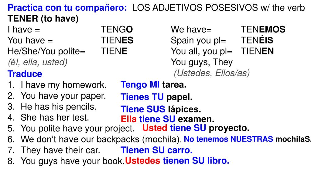 Practica con tu compañero: LOS ADJETIVOS POSESIVOS w/ the verb