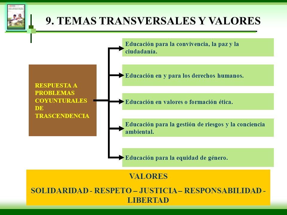 9. TEMAS TRANSVERSALES Y VALORES