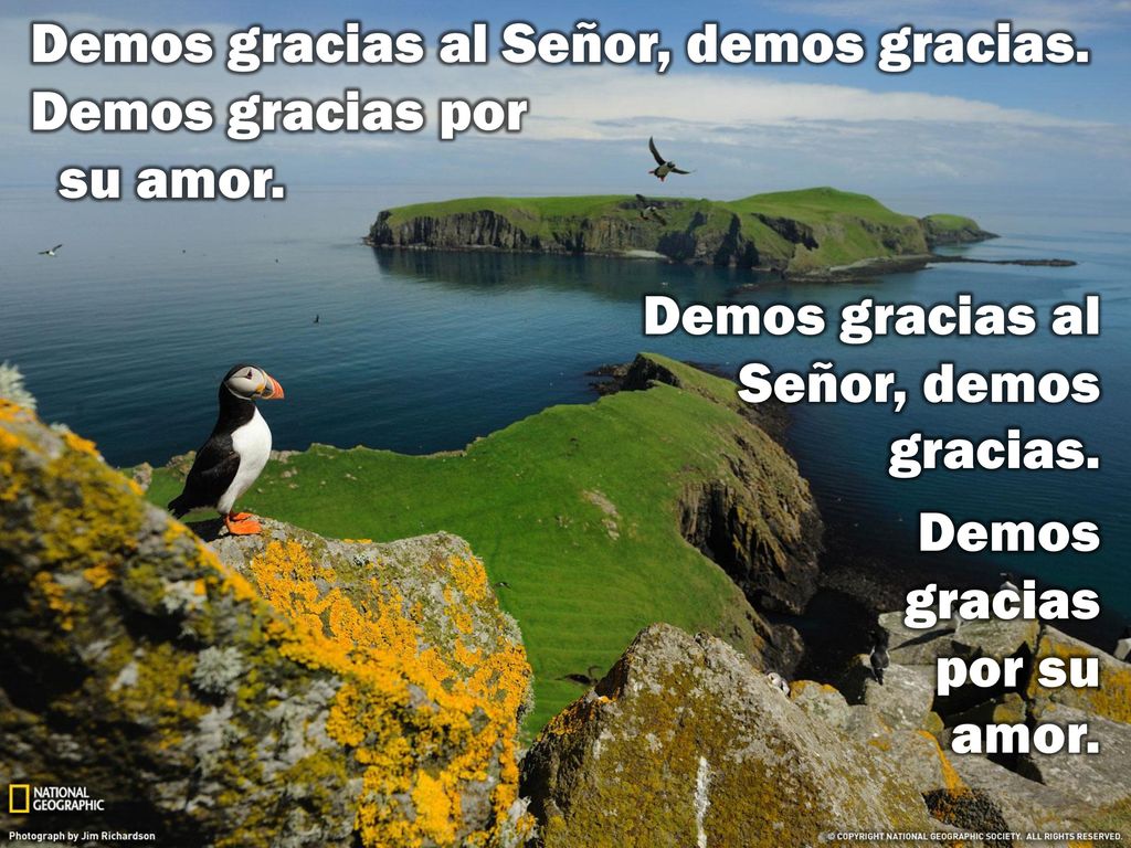 Demos gracias al Señor, demos gracias. Demos gracias por su amor.