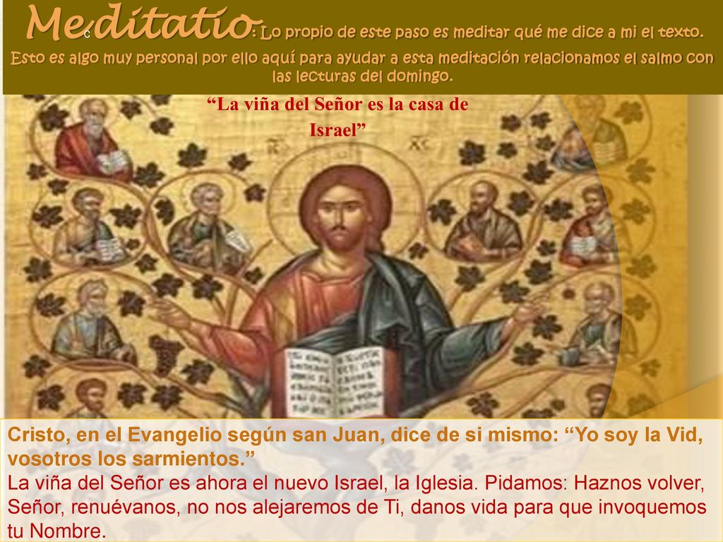 La viña del Señor es la casa de Israel