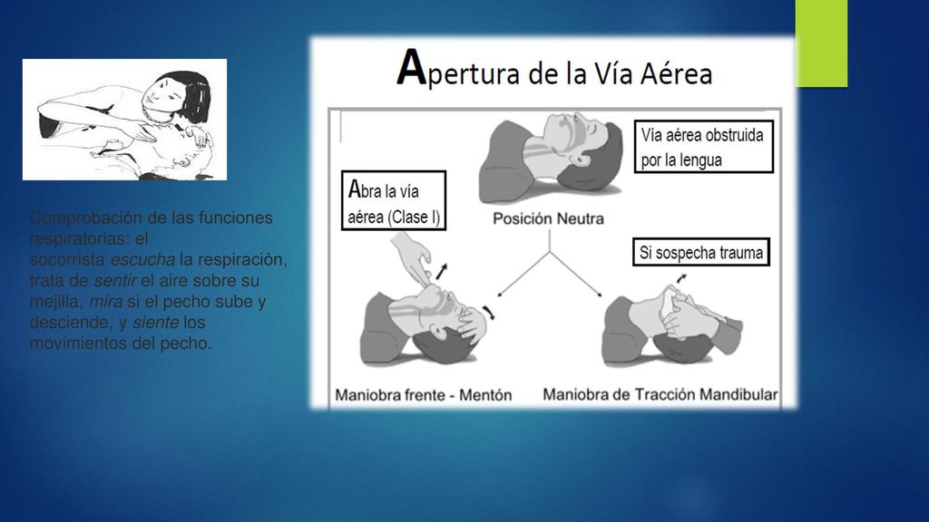 Comprobación de las funciones respiratorias: el socorrista escucha la respiración, trata de sentir el aire sobre su mejilla, mira si el pecho sube y desciende, y siente los movimientos del pecho.