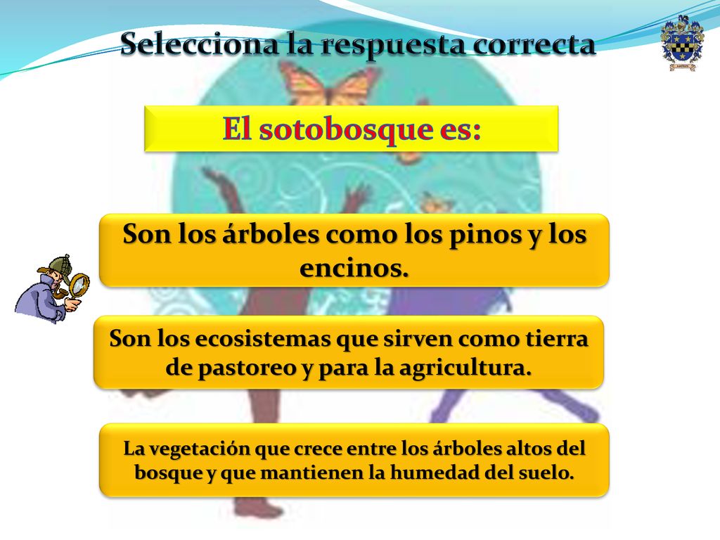 Selecciona la respuesta correcta El sotobosque es: