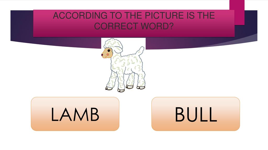ACCORDING TO THE PICTURE IS THE CORRECT WORD