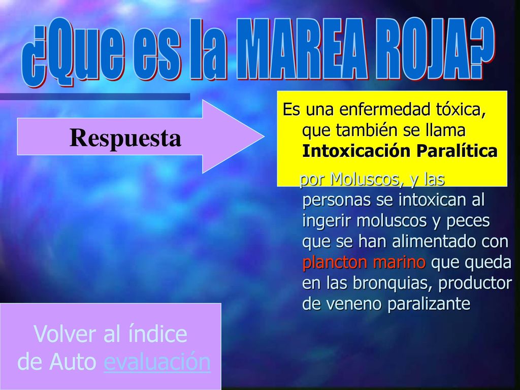 ¿Que es la MAREA ROJA Respuesta Volver al índice de Auto evaluación