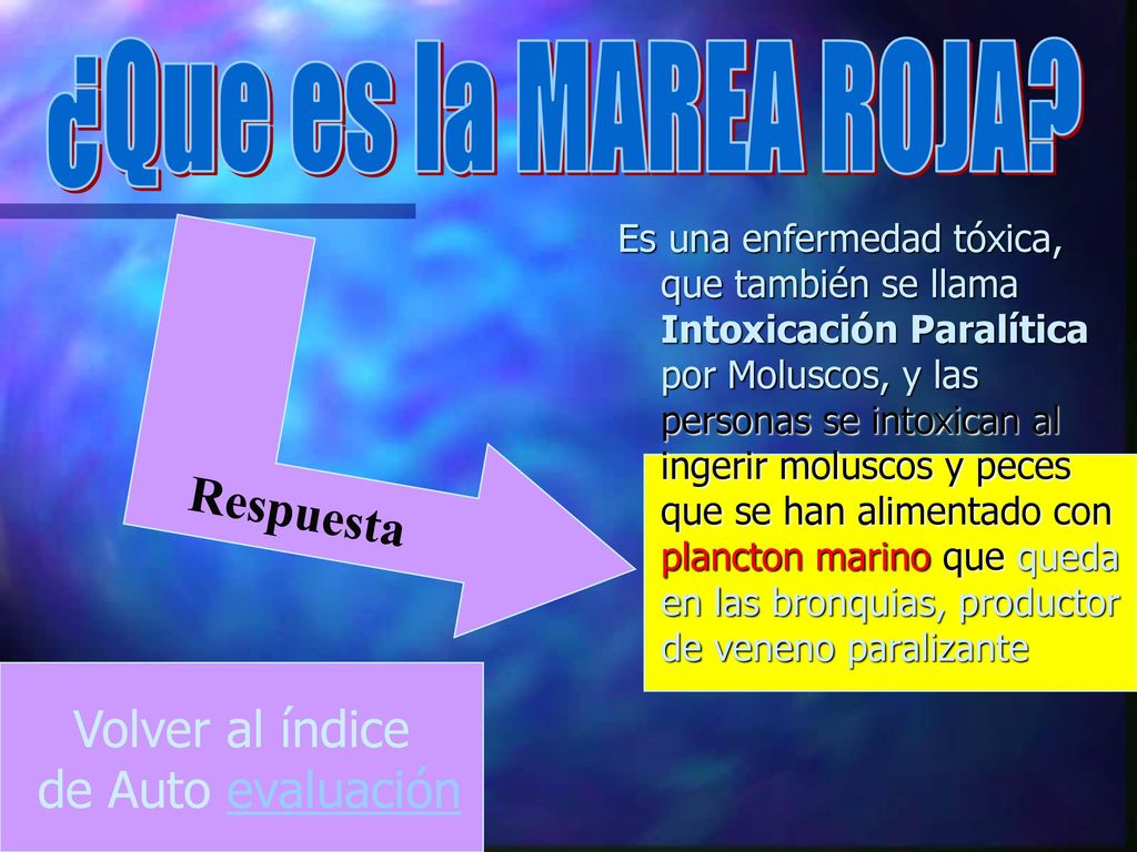 ¿Que es la MAREA ROJA Volver al índice de Auto evaluación