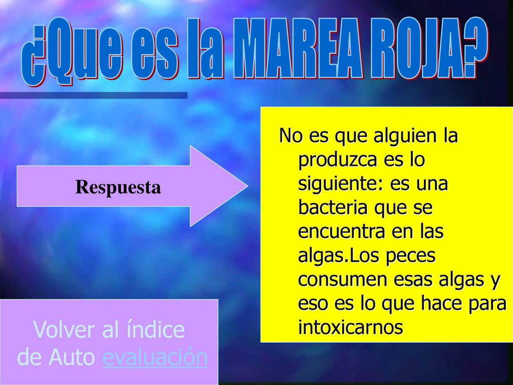 ¿Que es la MAREA ROJA Volver al índice de Auto evaluación