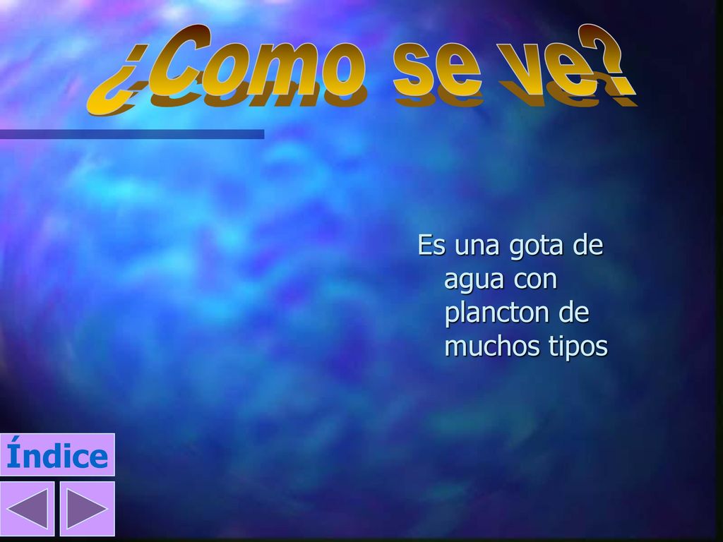 ¿Como se ve Es una gota de agua con plancton de muchos tipos Índice