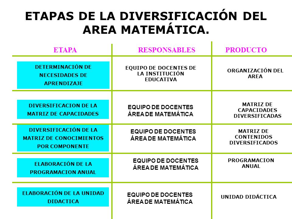 ETAPAS DE LA DIVERSIFICACIÓN DEL AREA MATEMÁTICA.