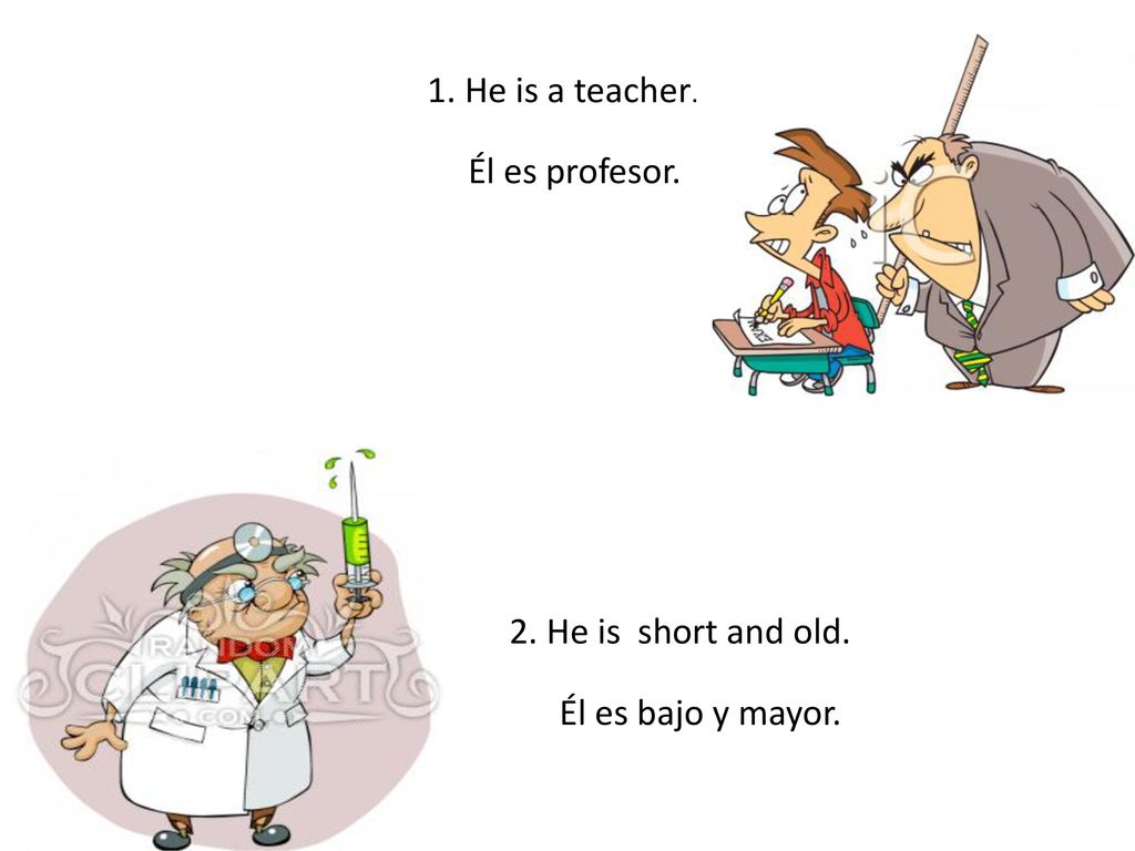 1. He is a teacher. Él es profesor. 2. He is short and old. Él es bajo y mayor.