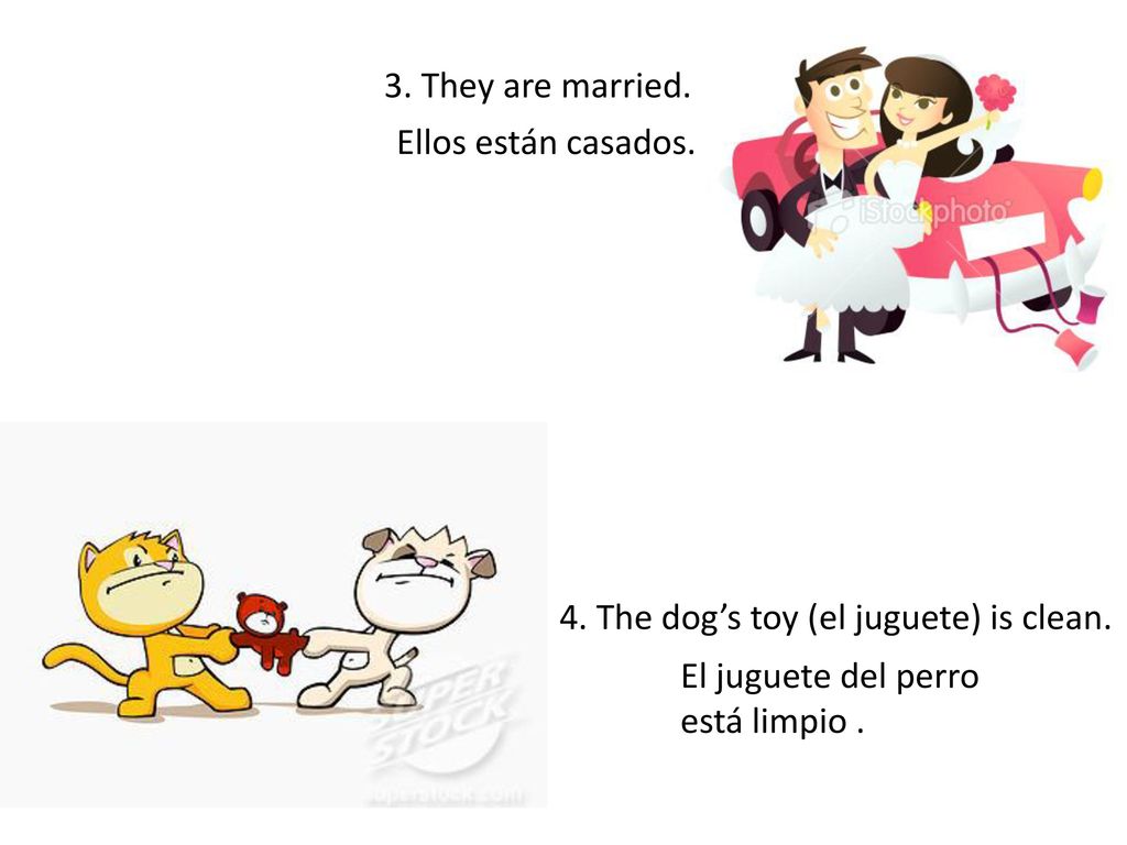 3. They are married. Ellos están casados. 4. The dog’s toy (el juguete) is clean. El juguete del perro.