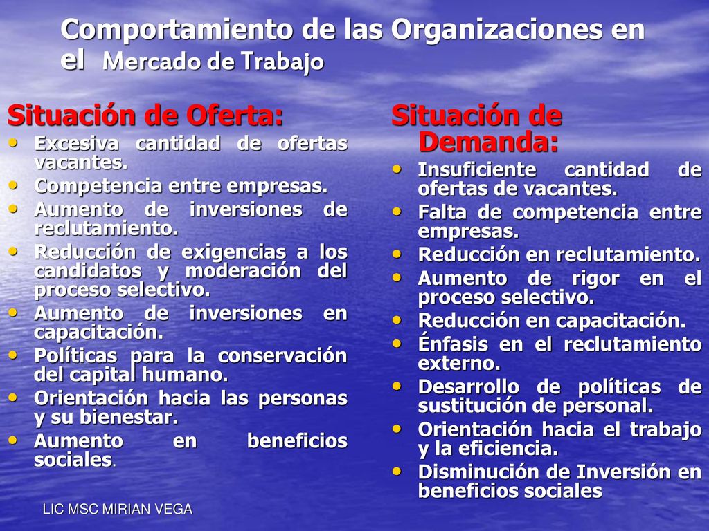 Comportamiento de las Organizaciones en el Mercado de Trabajo