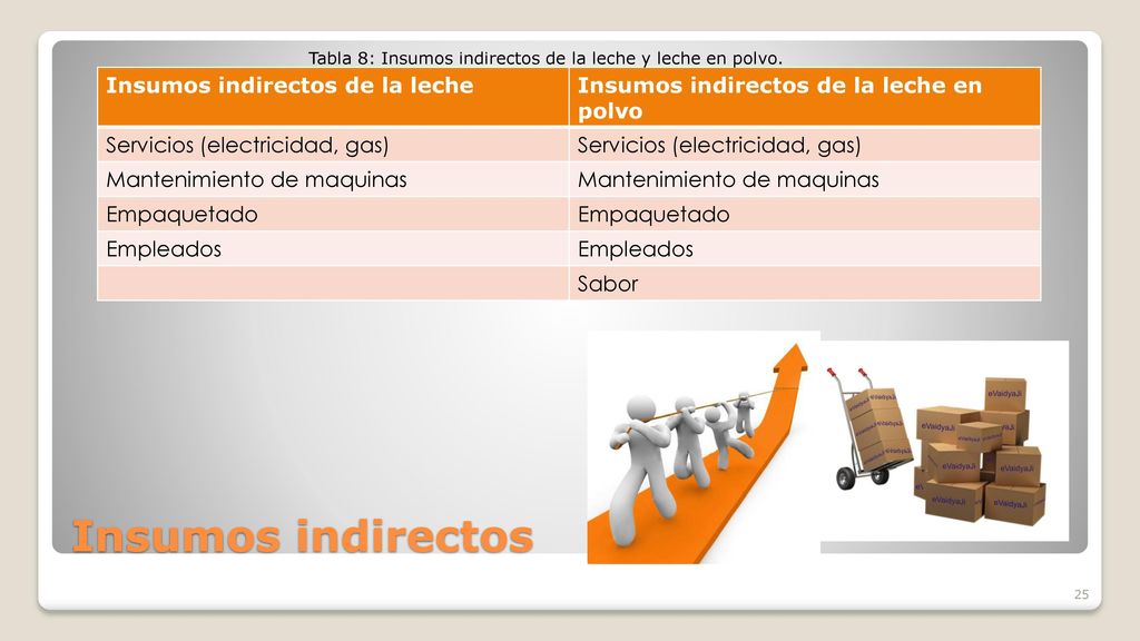 Tabla 8: Insumos indirectos de la leche y leche en polvo.
