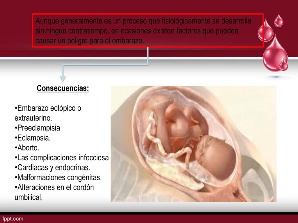 Aunque generalmente es un proceso que fisiológicamente se desarrolla sin ningún contratiempo, en ocasiones existen factores que pueden causar un peligro para el embarazo.