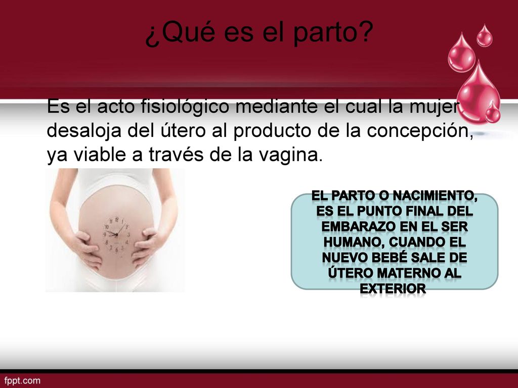 ¿Qué es el parto Es el acto fisiológico mediante el cual la mujer desaloja del útero al producto de la concepción, ya viable a través de la vagina.