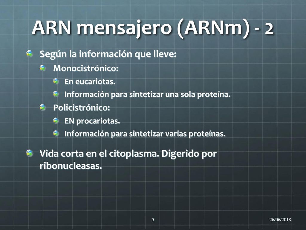 ARN mensajero (ARNm) - 2 Según la información que lleve: