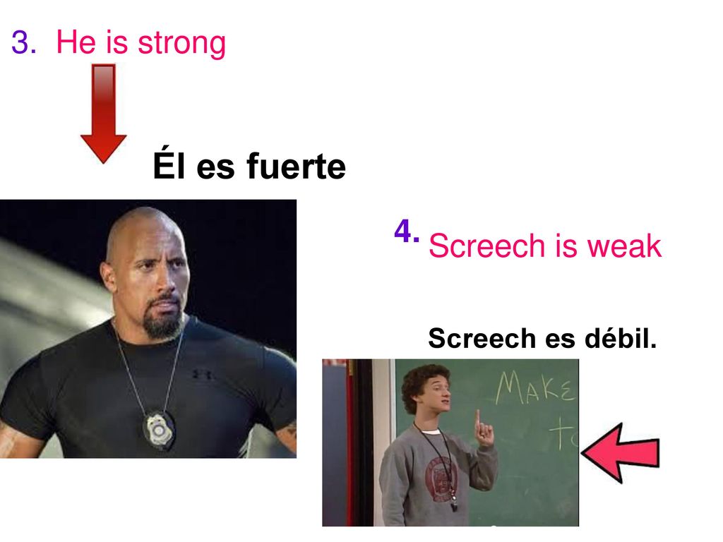 3. He is strong Él es fuerte 4. Screech is weak Screech es débil.
