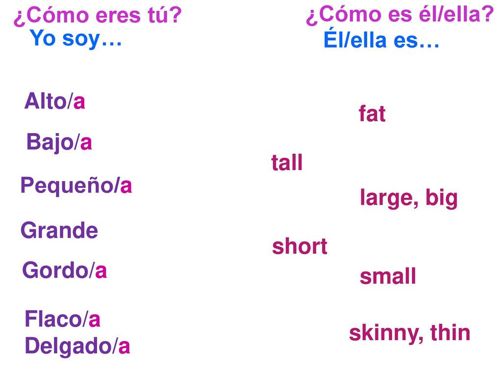 ¿Cómo eres tú ¿Cómo es él/ella Yo soy… Él/ella es… Alto/a. fat. Bajo/a. tall. Pequeño/a. large, big.