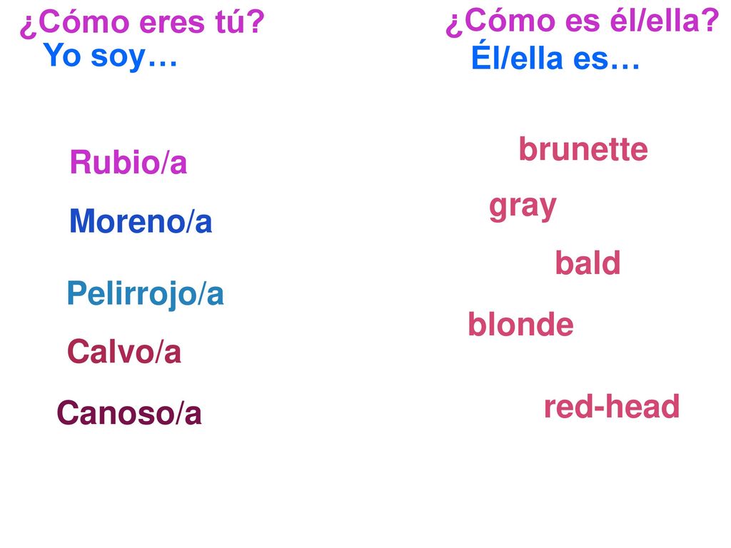 ¿Cómo eres tú ¿Cómo es él/ella Yo soy… Él/ella es… brunette. Rubio/a. gray. Moreno/a. bald.
