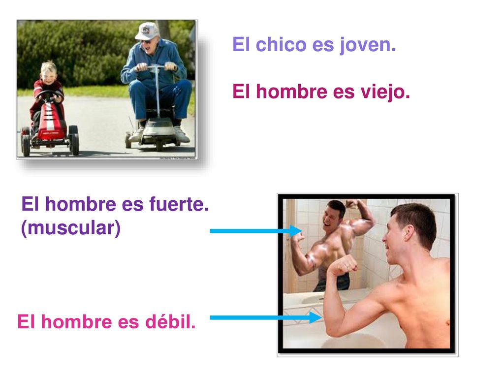 El chico es joven. El hombre es viejo. El hombre es fuerte. (muscular) El hombre es débil.