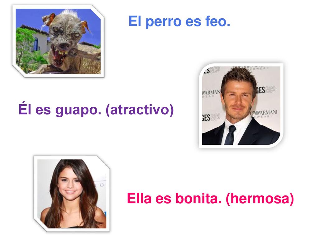 El perro es feo. Él es guapo. (atractivo) Ella es bonita. (hermosa)