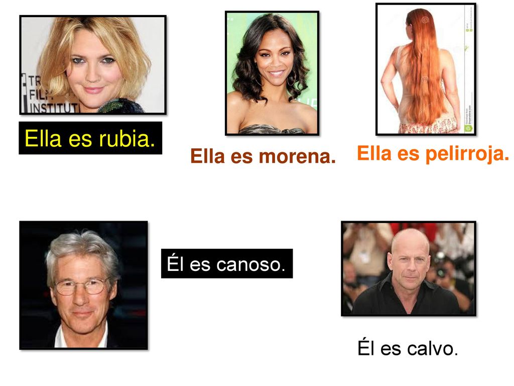 Ella es rubia. Ella es pelirroja. Ella es morena. Él es canoso.