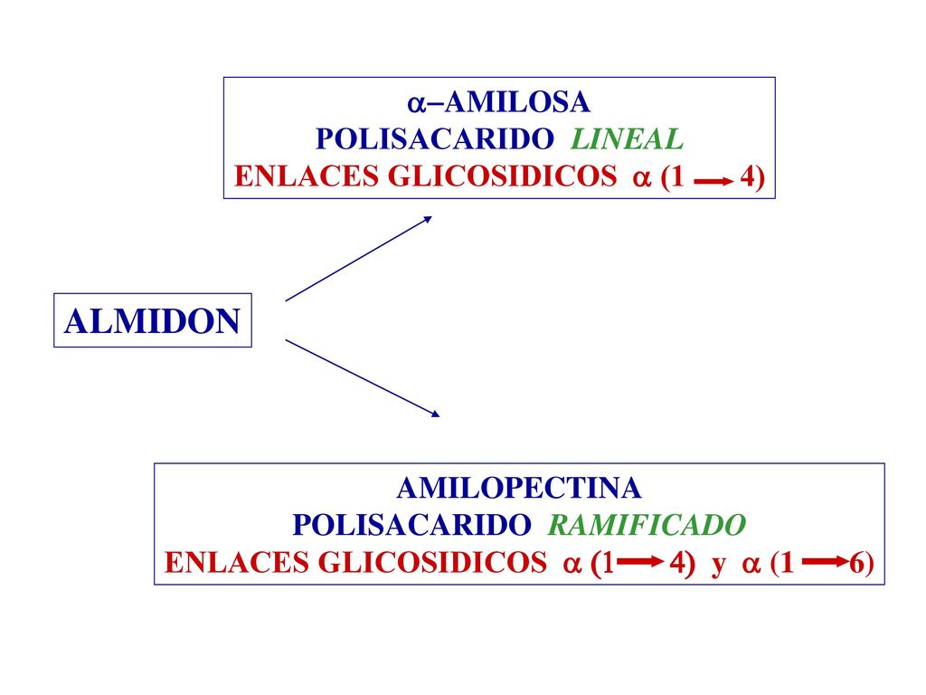 ENLACES GLICOSIDICOS a (1 4) ENLACES GLICOSIDICOS a (1 4) y a (1 6)