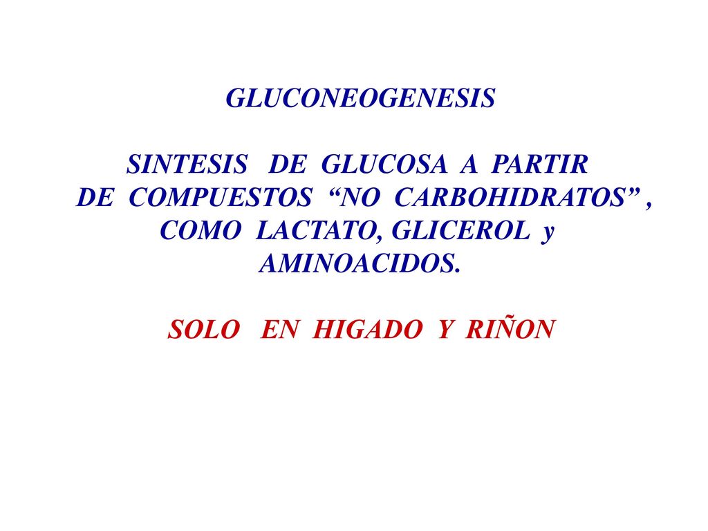 SINTESIS DE GLUCOSA A PARTIR DE COMPUESTOS NO CARBOHIDRATOS ,