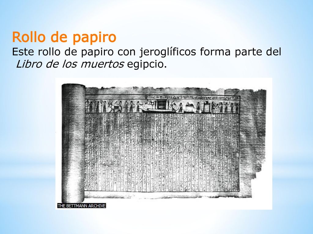 Rollo de papiro Este rollo de papiro con jeroglíficos forma parte del