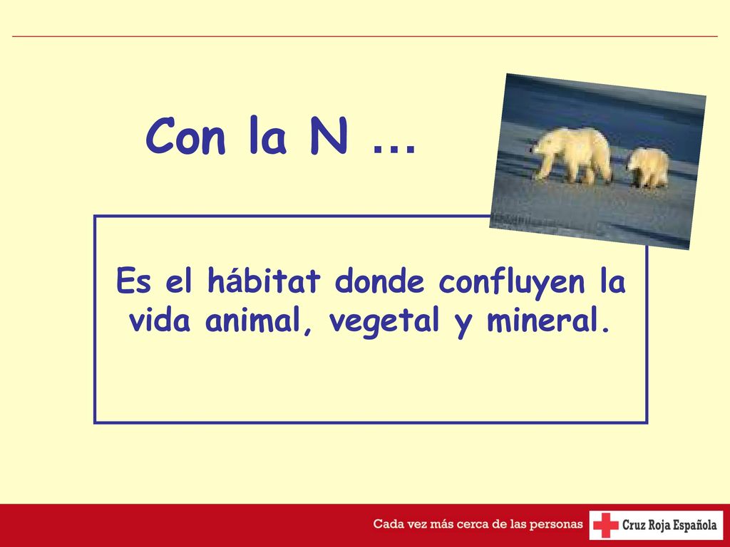 Es el hábitat donde confluyen la vida animal, vegetal y mineral.